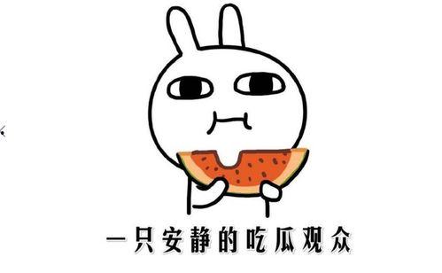 什么瓜嗑着吃,尽享夏日“嗑瓜”时光