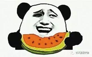 大脸吃瓜群众,揭秘娱乐圈幕后真相