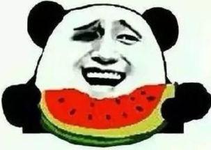 瓜皮联盟吃瓜群众,揭秘吃瓜群众的狂欢盛宴