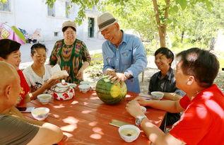 社区干部吃瓜,揭秘基层干部的日常生活与心态