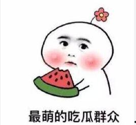 官方回应吃瓜群众,吃瓜群众关注的焦点问题解答