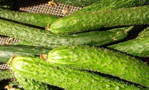 富吃榴莲穷吃瓜,品味生活，富穷两相宜