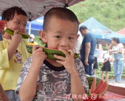 上朝吃瓜系列,揭秘古代宫廷的宫廷八卦风云