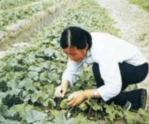 袁隆平同学吃瓜