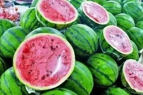 只吃虫不吃瓜,探寻只吃虫不吃瓜的神秘生物之谜