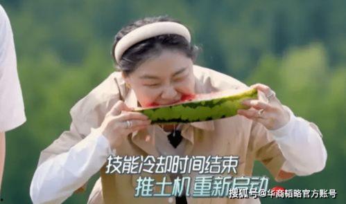 背后吃瓜犯法吗,是娱乐还是违法？