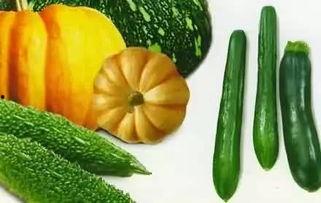 吃瓜小财,揭秘娱乐圈背后的那些事儿