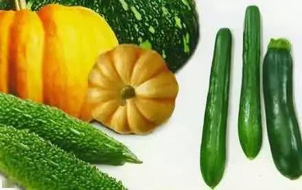 兵歌吃瓜,揭秘军营里的欢乐时光