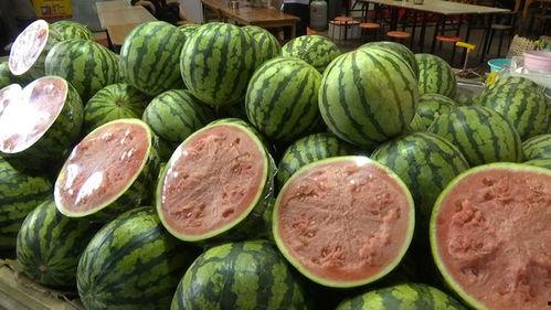 59元吃瓜,尽在吃瓜盛宴