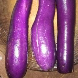 皮肌炎可以吃茄瓜吗