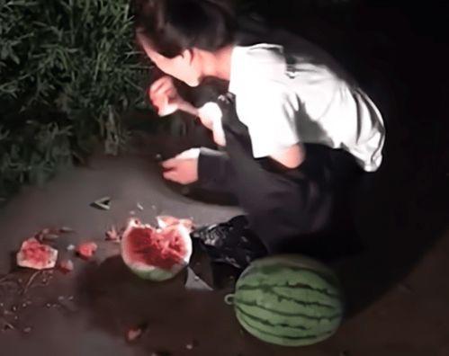 偷瓜吃的搞笑故事,一场欢乐的田园闹剧