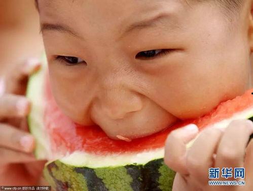 吃瓜大赛表情包gif