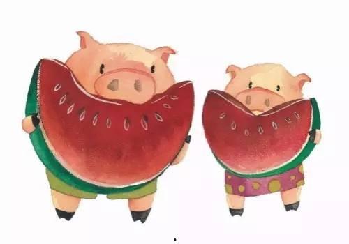 吃瓜粉红的猪,吃瓜粉红的猪的传奇故事
