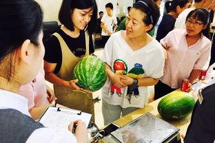 星际吃瓜群众,揭秘宇宙中的八卦风云