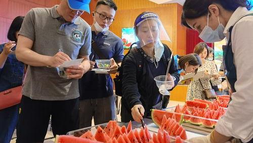 吃瓜上海阿姨视频,一场接地气的社区风情画卷