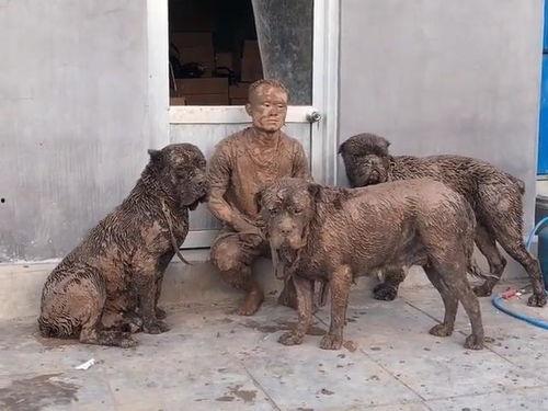 狗拉着主人吃瓜,一场意外的欢乐之旅