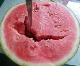 吃瓜导致呕吐腹泻,呕吐腹泻的警示与应对