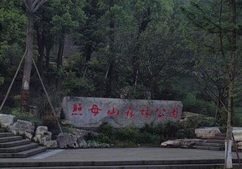 森林公园的吃瓜,清凉一夏，共享自然美味