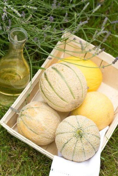 吃瓜二胖,揭秘娱乐圈的“瓜王”传奇