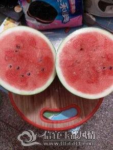 吃瓜要这样吃才过瘾,解锁吃瓜新姿势，让你一“瓜”过瘾！