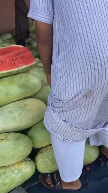 蛆吃瓜群众,蛆虫视角下的瓜田众生相