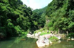 吃瓜碧水深潭,探寻娱乐圈背后的真相与秘密