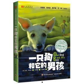 小狗吃瓜文案男孩,小狗与男孩的欢乐食瓜记