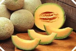 瓜州蜜瓜一天吃半个,尽享夏日甜蜜滋味