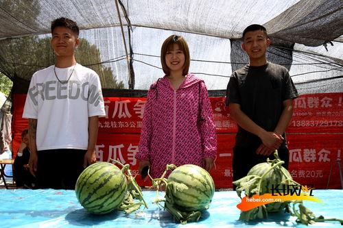 河北直播吃瓜,一场全民参与的美食盛宴