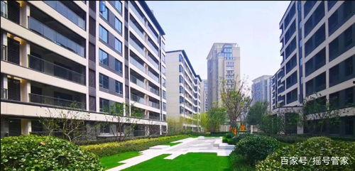 楼市吃瓜君,揭秘吃瓜君视角下的房地产市场